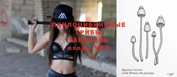 дмт Зеленокумск
