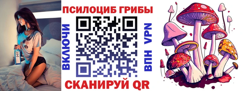 Галлюциногенные грибы мицелий  Купить где  Жуков 